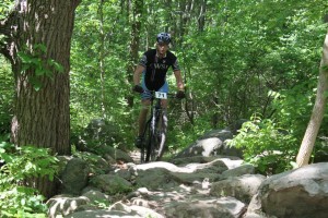 potato creek rock garden